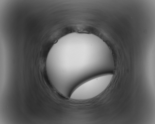 X0000085270129200703090923