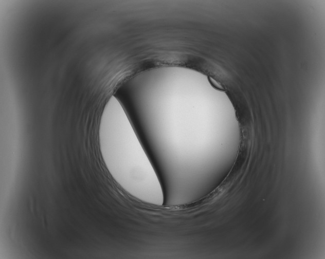 X0000085270143200703090923