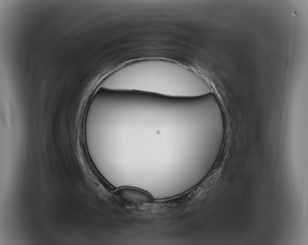 X0000085270145200703090922