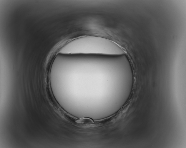 X0000085270149200703090923