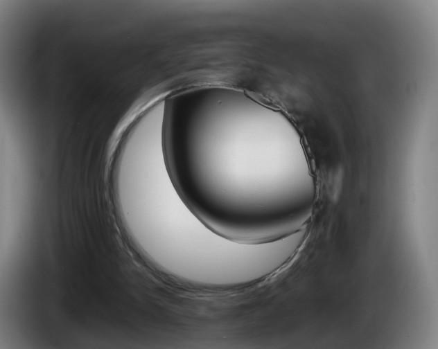 X0000085270150200703090923