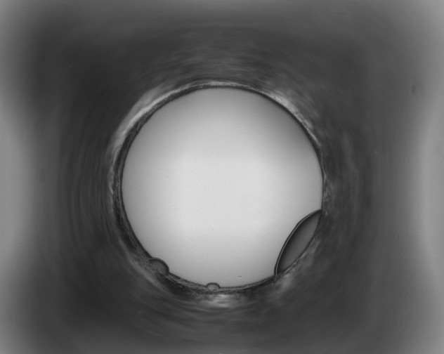 X0000085270151200703090923