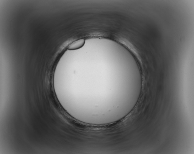 X0000085270155200703090923