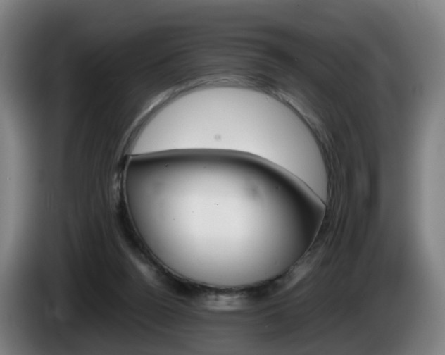 X0000085270160200703090923