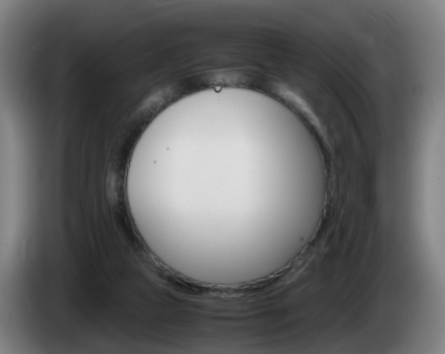 X0000085270161200703090923