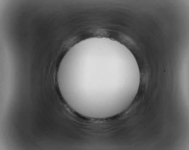 X0000085270185200703090923