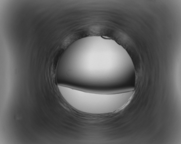 X0000085270186200703090923