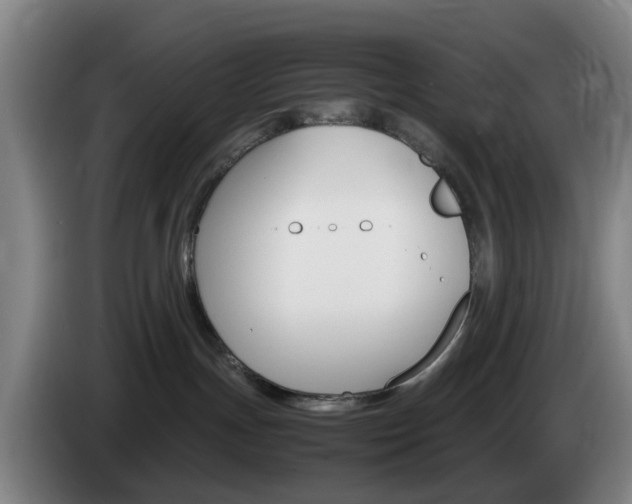 X0000085270191200703090923