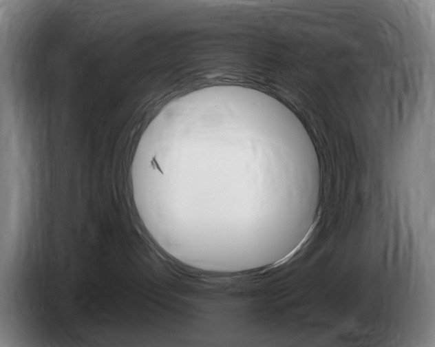 X0000085270192200703090923