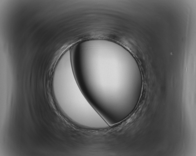 X0000085270193200703090922