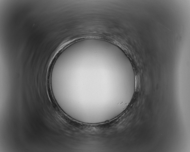 X0000085270195200703090922