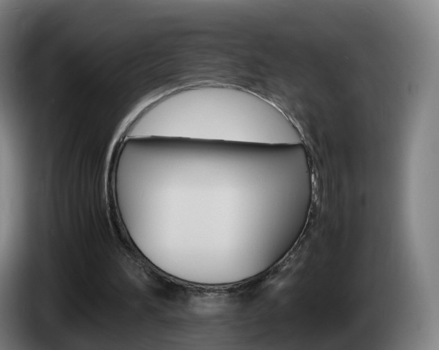 X0000085270196200703090922