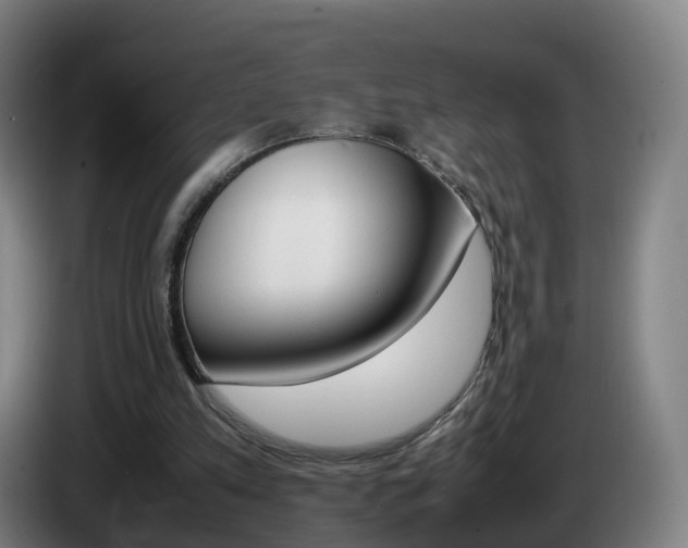 X0000085270197200703090922