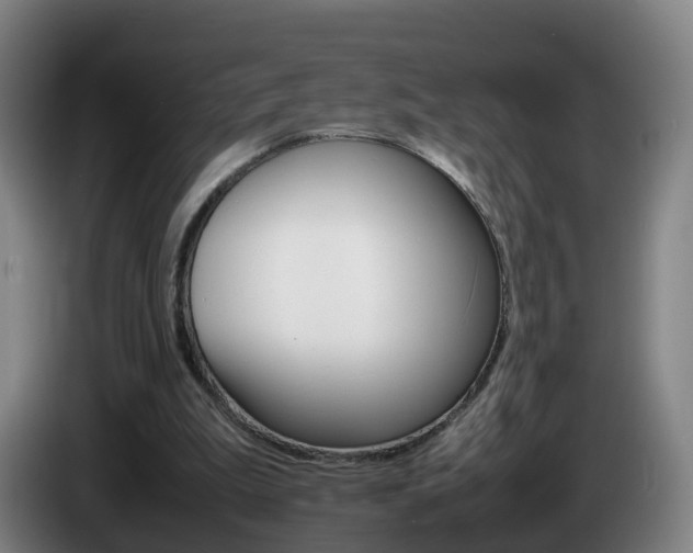 X0000085270199200703090922