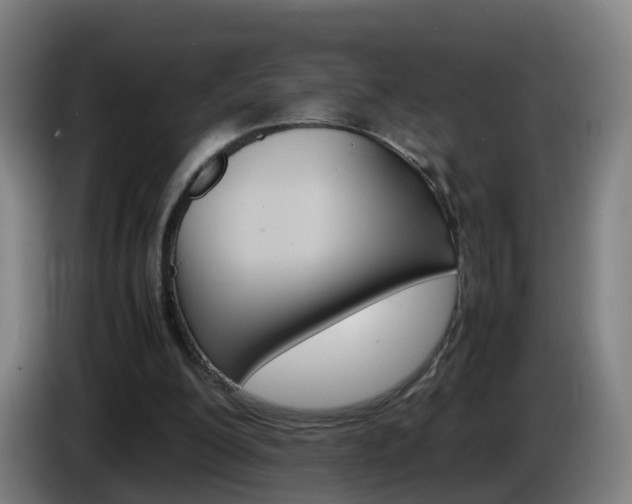 X0000085270200200703090922