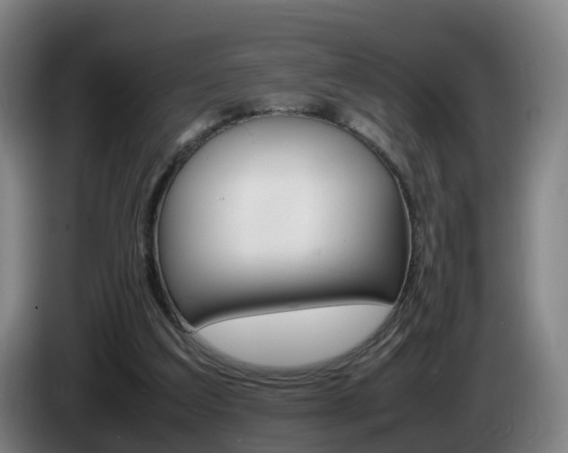 X0000085270203200703090922