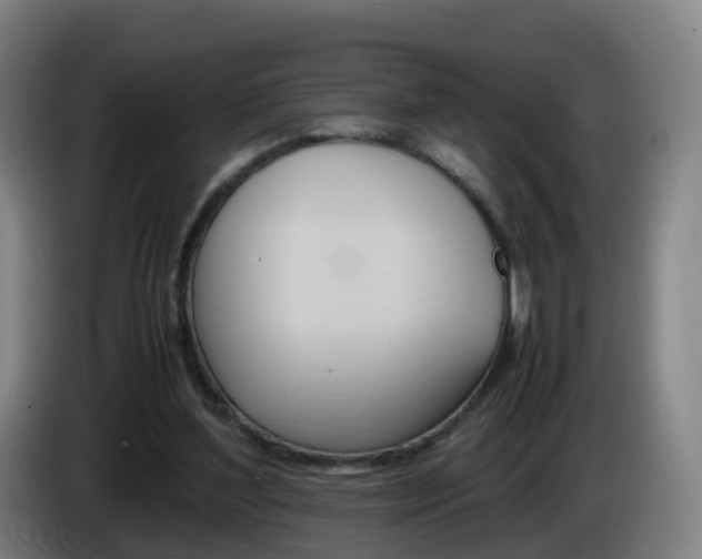 X0000085270204200703090922