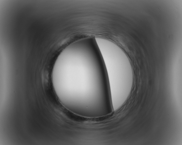 X0000085270211200703090922