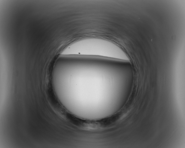 X0000085270215200703090922