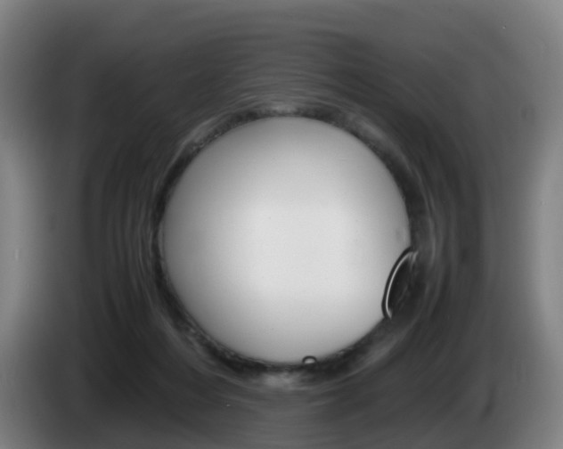 X0000085270216200703090922