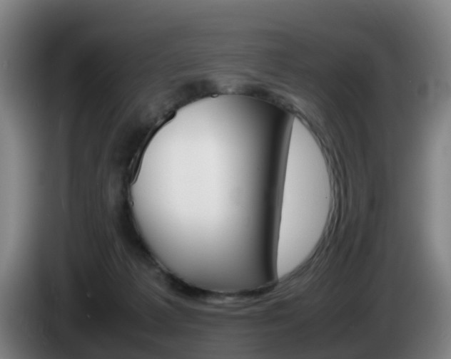 X0000085270221200703090922