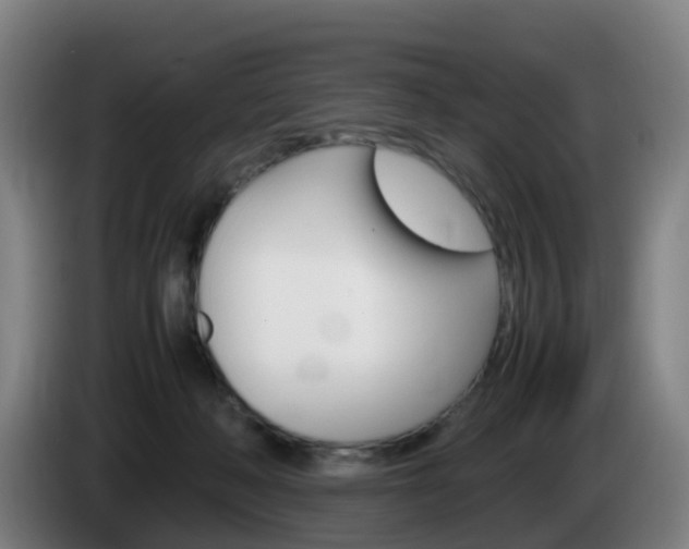 X0000085270222200703090922