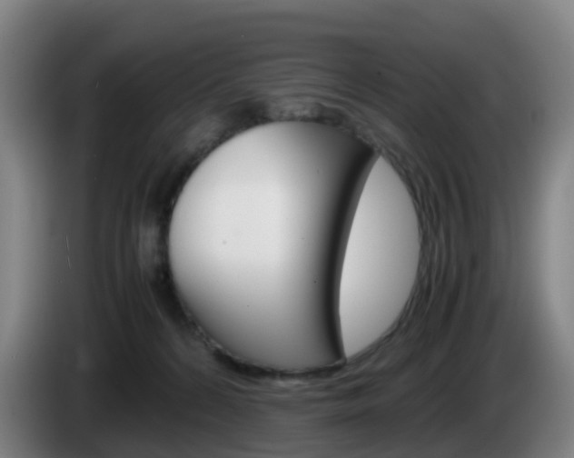 X0000085270224200703090922