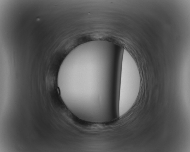 X0000085270227200703090922