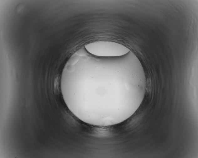 X0000085270238200703090922