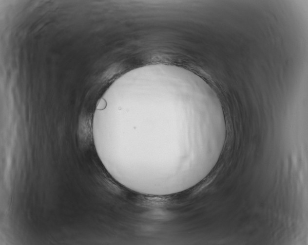 X0000085270240200703090922