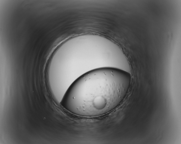 X0000085270242200703090921