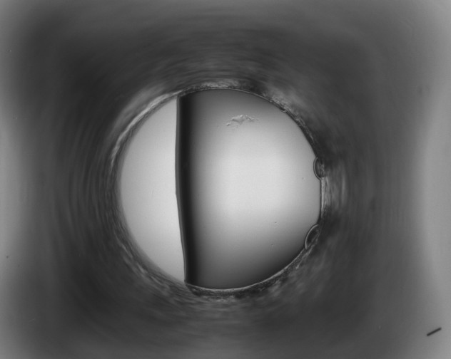 X0000085270243200703090921