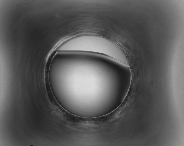 X0000085270244200703090921