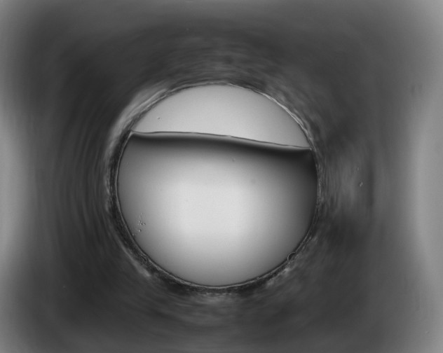 X0000085270245200703090921