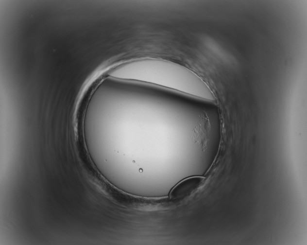 X0000085270246200703090921