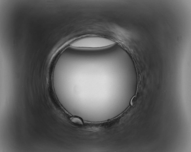 X0000085270247200703090921