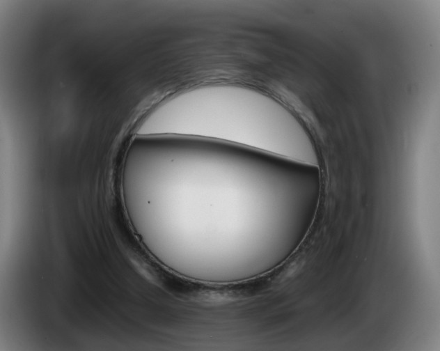 X0000085270250200703090921