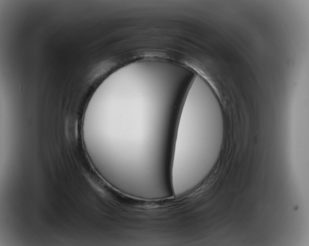 X0000085270253200703090921