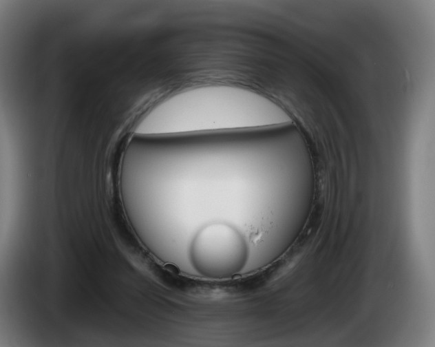 X0000085270254200703090921