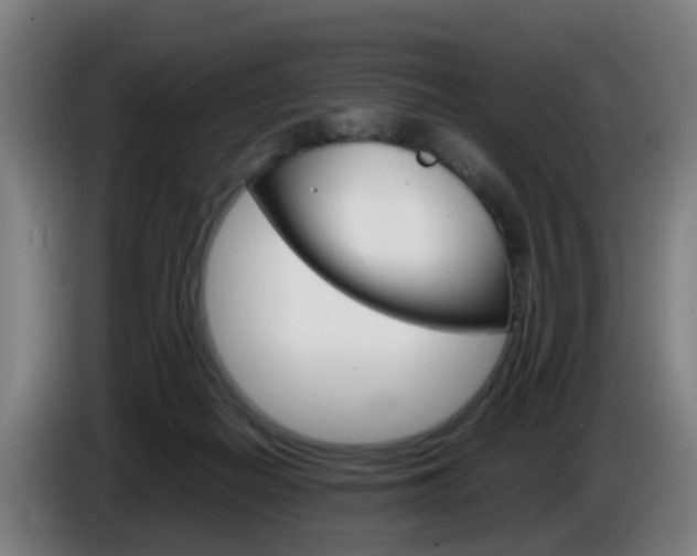 X0000085270266200703090922