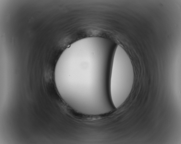 X0000085270274200703090922