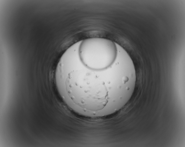 X0000085270278200703090922