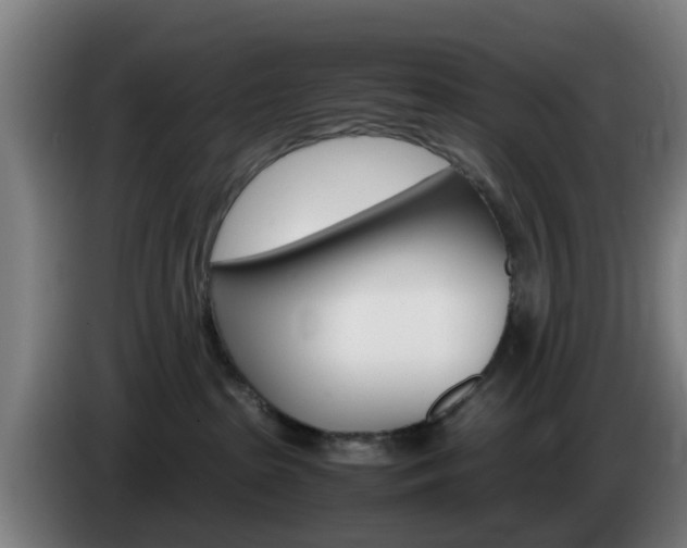 X0000085270285200703090922