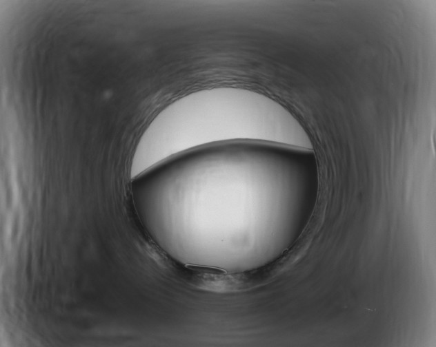 X0000085270288200703090922