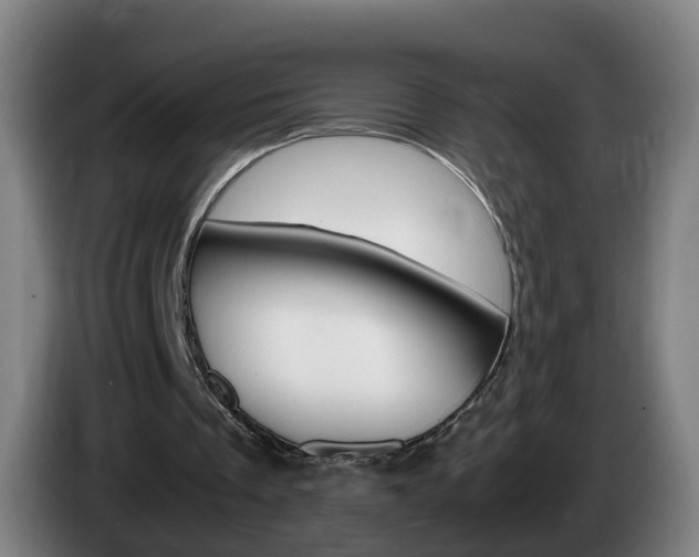 X0000085270289200703090921