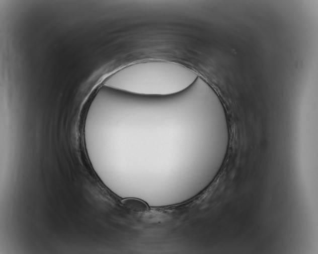 X0000085270290200703090921