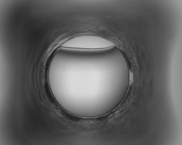 X0000085270291200703090921