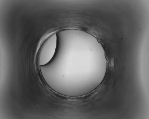 X0000085270294200703090921