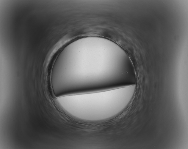 X0000085270295200703090921