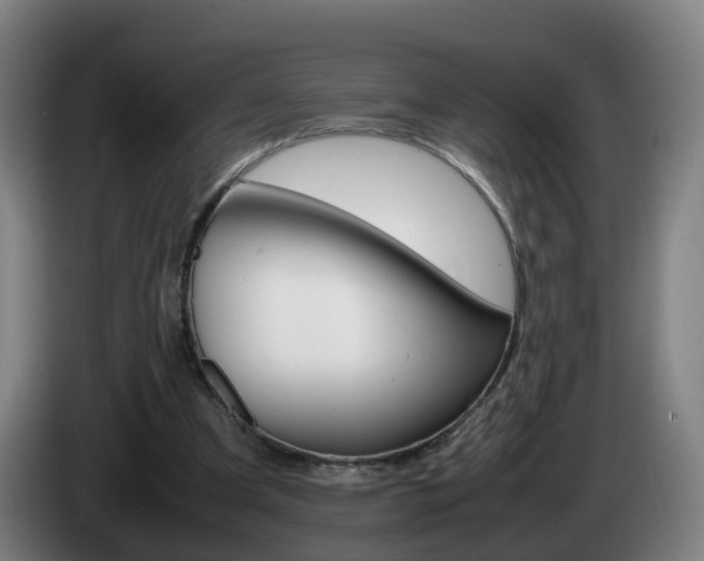 X0000085270297200703090921